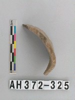 藏品(灰褐色夾砂陶片)的圖片